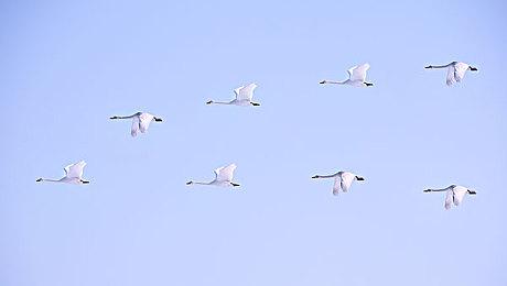 《战地2042》正式上线时间公布，今日下午16点即可开玩！